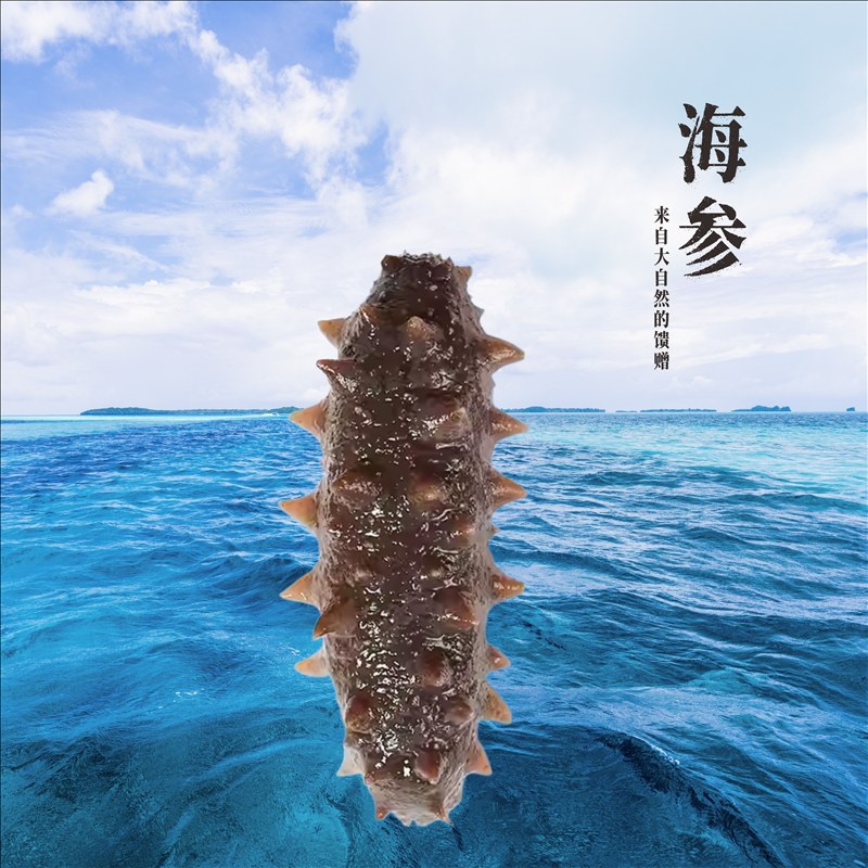 壹仁堂海参