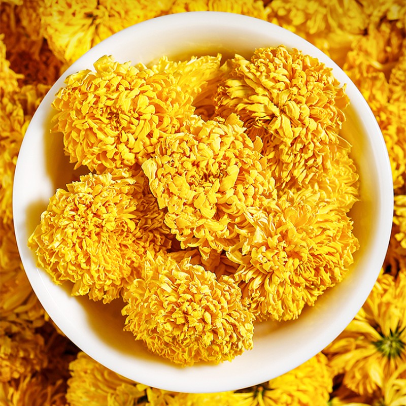 皇菊